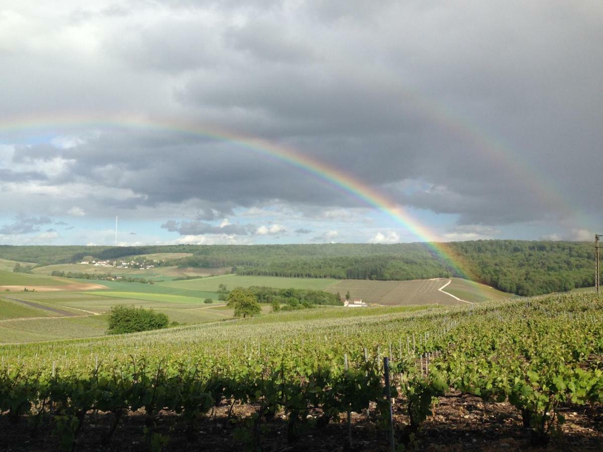 Flor'ever En Champagne Fleury-la-Riviere