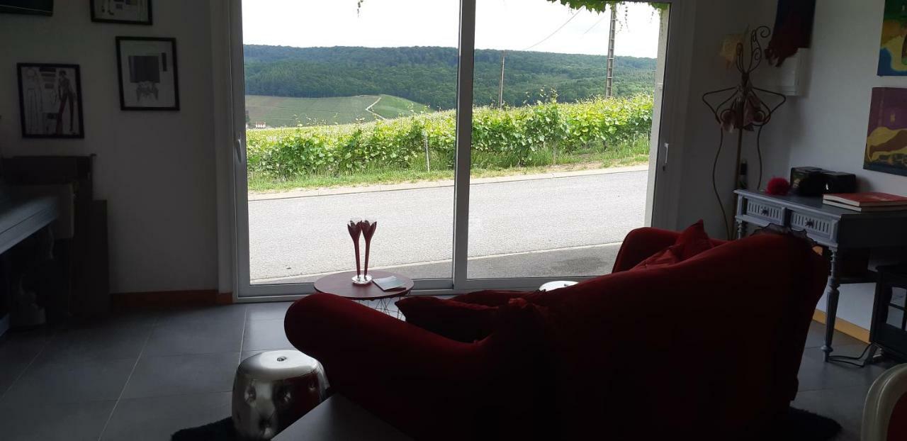 Appartement Flor'ever En Champagne Fleury-la-Riviere