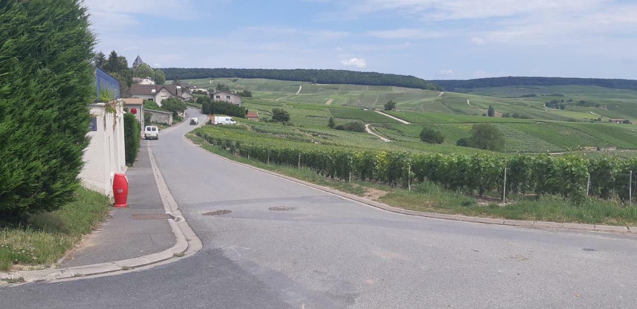 Flor'ever En Champagne
